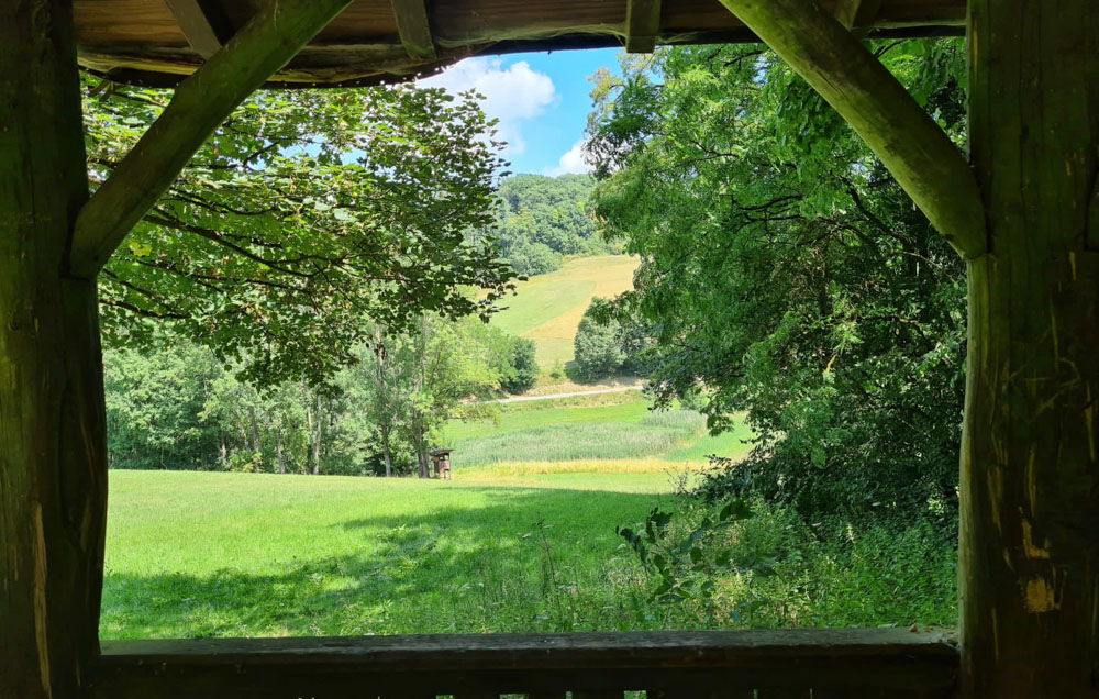 20220724 NF_Wanderung Hemsbach_Sabine-19.jpg