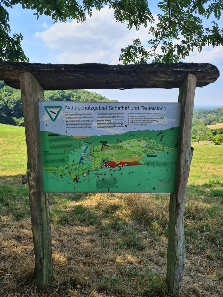 20220724 NF_Wanderung Hemsbach_Sabine-24.jpg