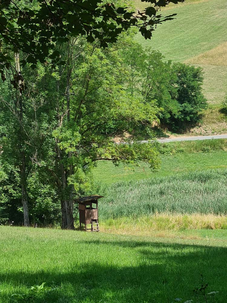 20220724 NF_Wanderung Hemsbach_Sabine-30.jpg