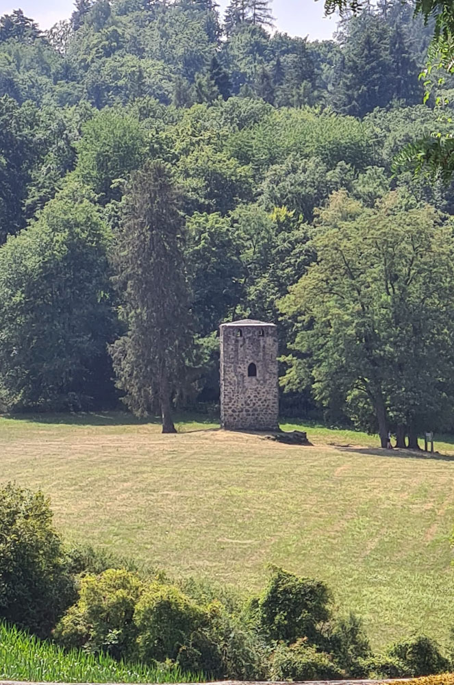 20220724 NF_Wanderung Hemsbach_Sabine-39.jpg
