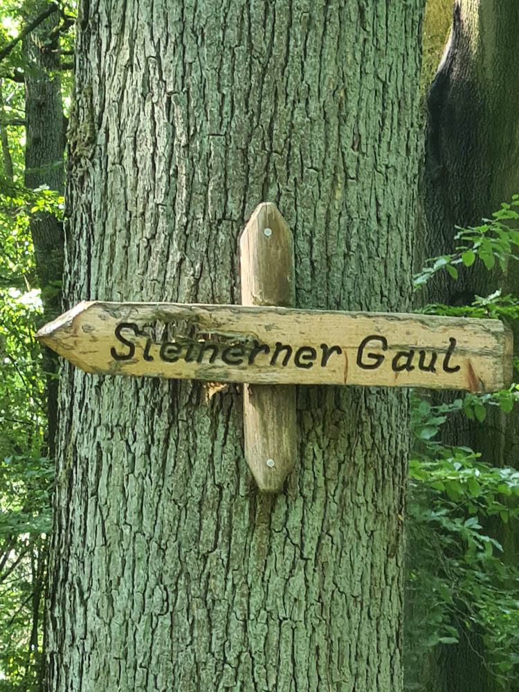 20220724 NF_Wanderung Hemsbach_Sabine-48.jpg