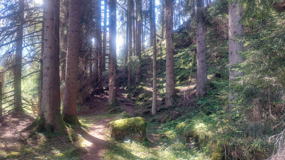 20220803 NF_Stubai_Michael-3.jpg