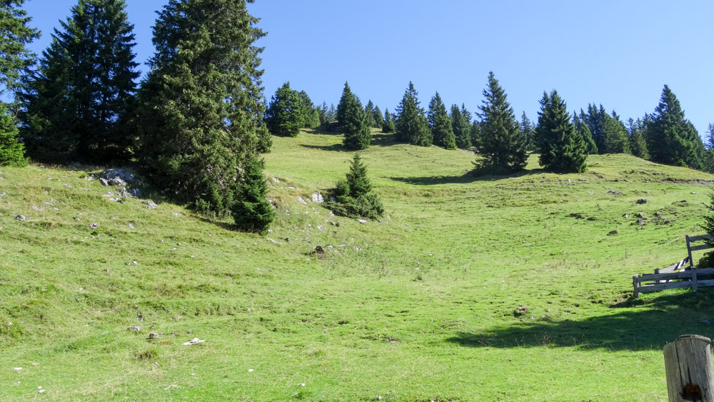 20220901 NF_Alpbachtal_Heinz-35.jpg