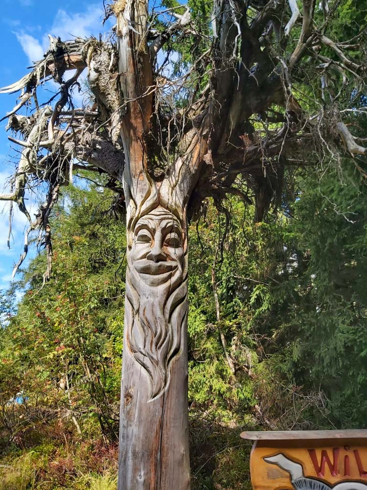 20220901 NF_Alpbachtal_Ingrid-15.jpg