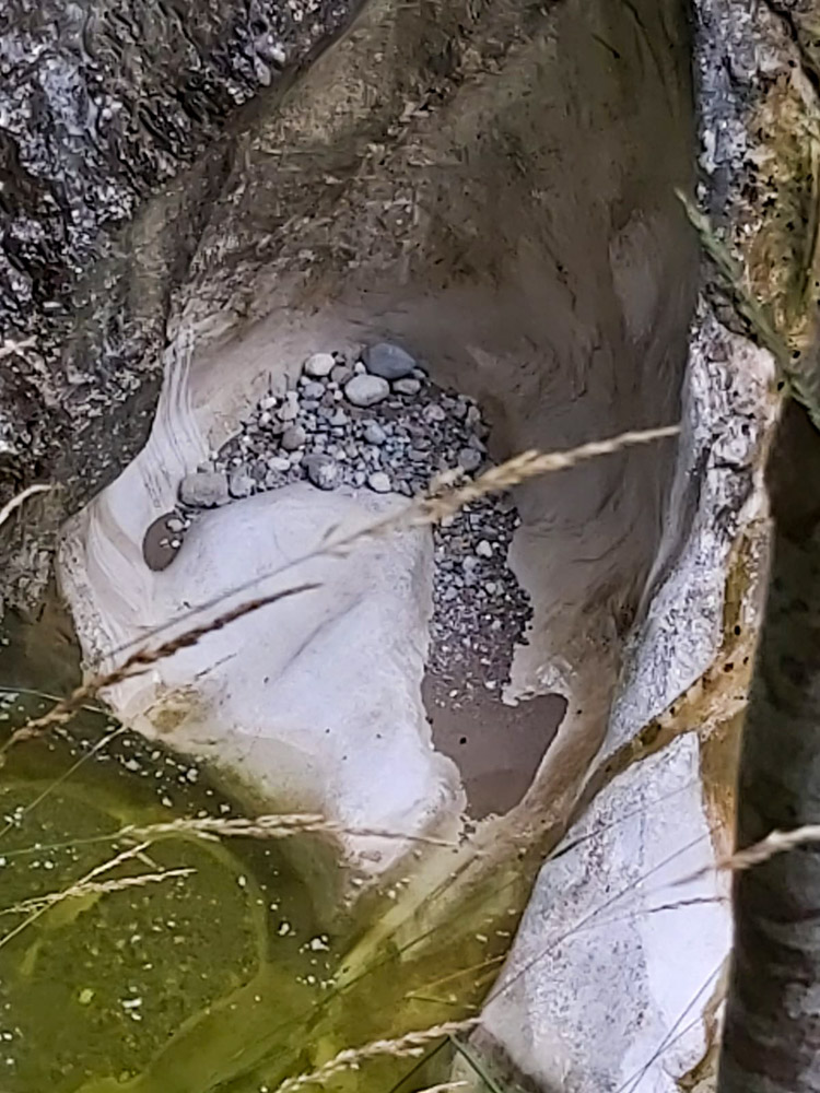 20220901 NF_Alpbachtal_Ingrid-22.jpg