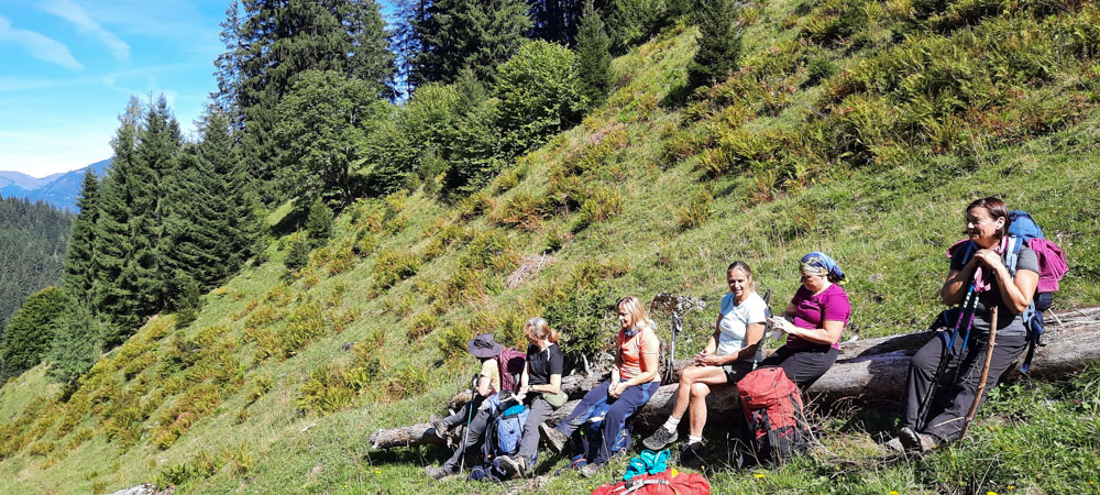 20220908 NF_Bergziegen im Montafon_Anke-2.jpg