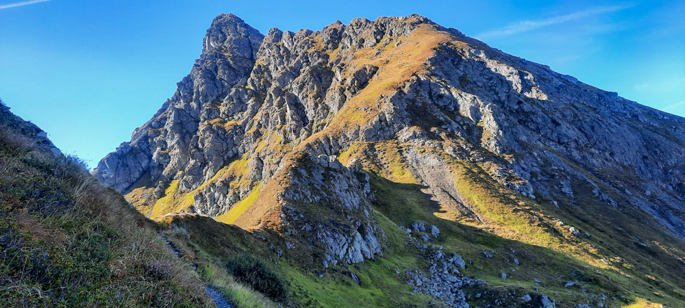 20220908 NF_Bergziegen im Montafon_Anke-3.jpg