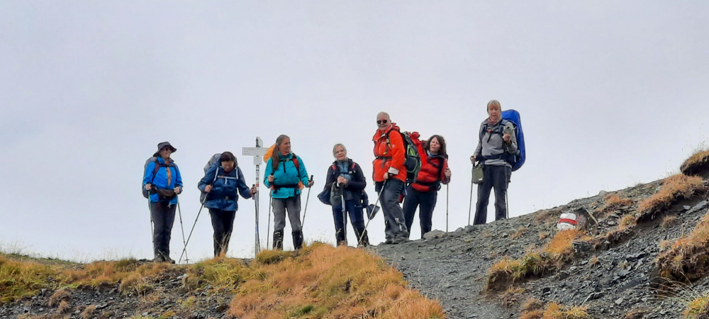 20220908 NF_Bergziegen im Montafon_Anke-10.jpg