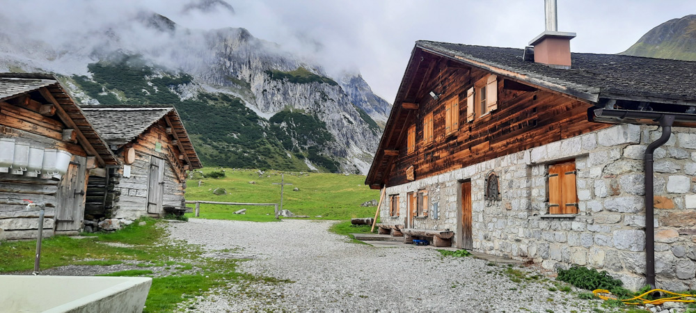 20220908 NF_Bergziegen im Montafon_Anke-17.jpg