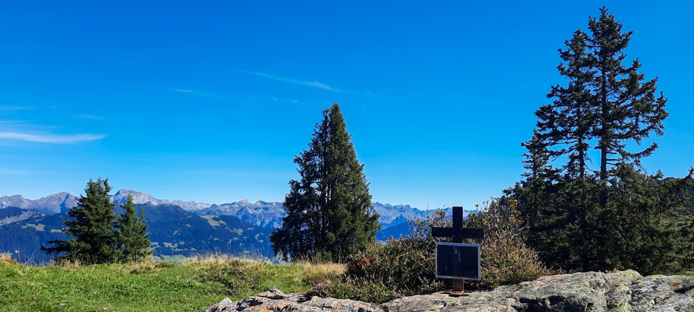 20220908 NF_Bergziegen im Montafon_Anke.jpg