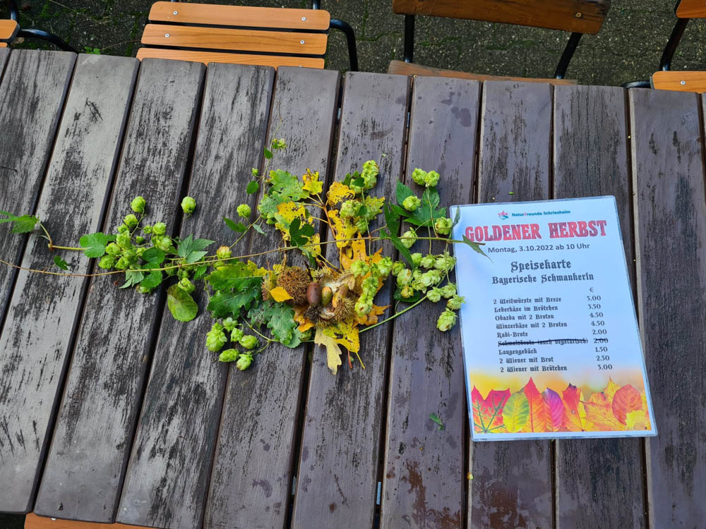 20221003 NF_Goldener Herbst_Sabine-31.jpg