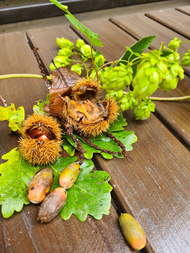 20221003 NF_Goldener Herbst_Sabine-33.jpg