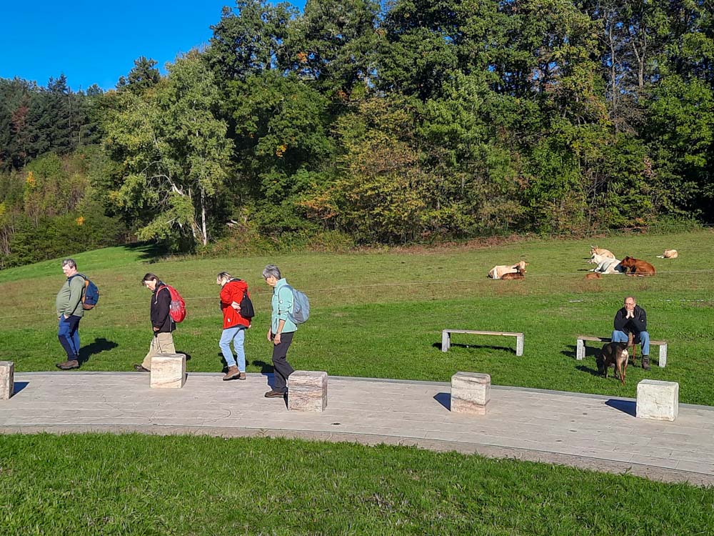 20221009 NF_Wanderung Felsenmeer_Anke-5.jpg