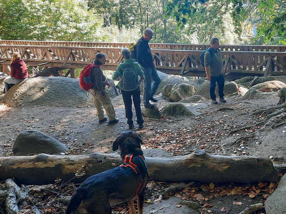 20221009 NF_Wanderung Felsenmeer_Anke-23.jpg
