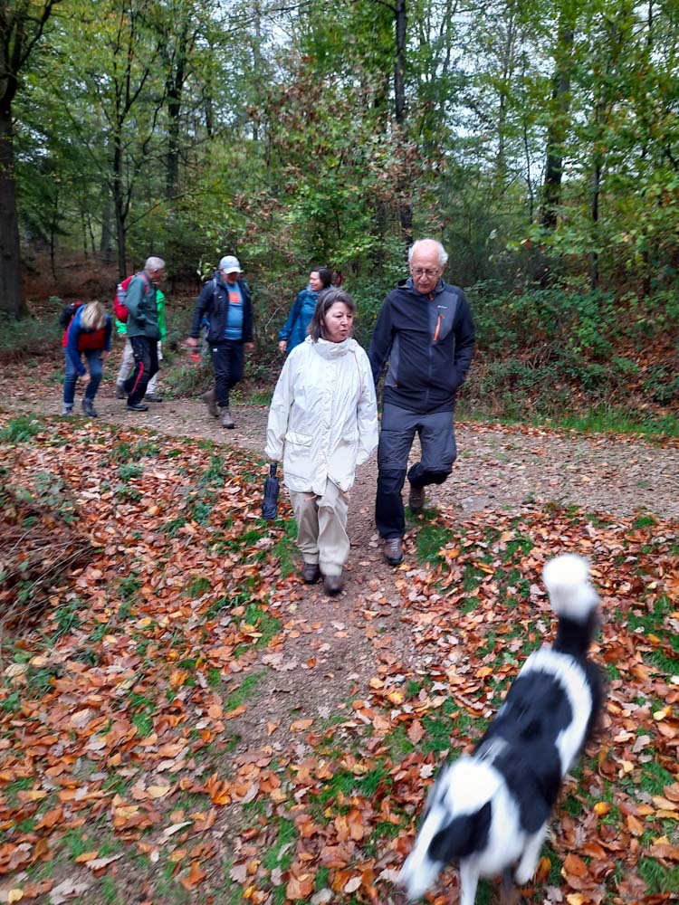 20221101 NF_Letzte Einkehr_Anke-1.jpg