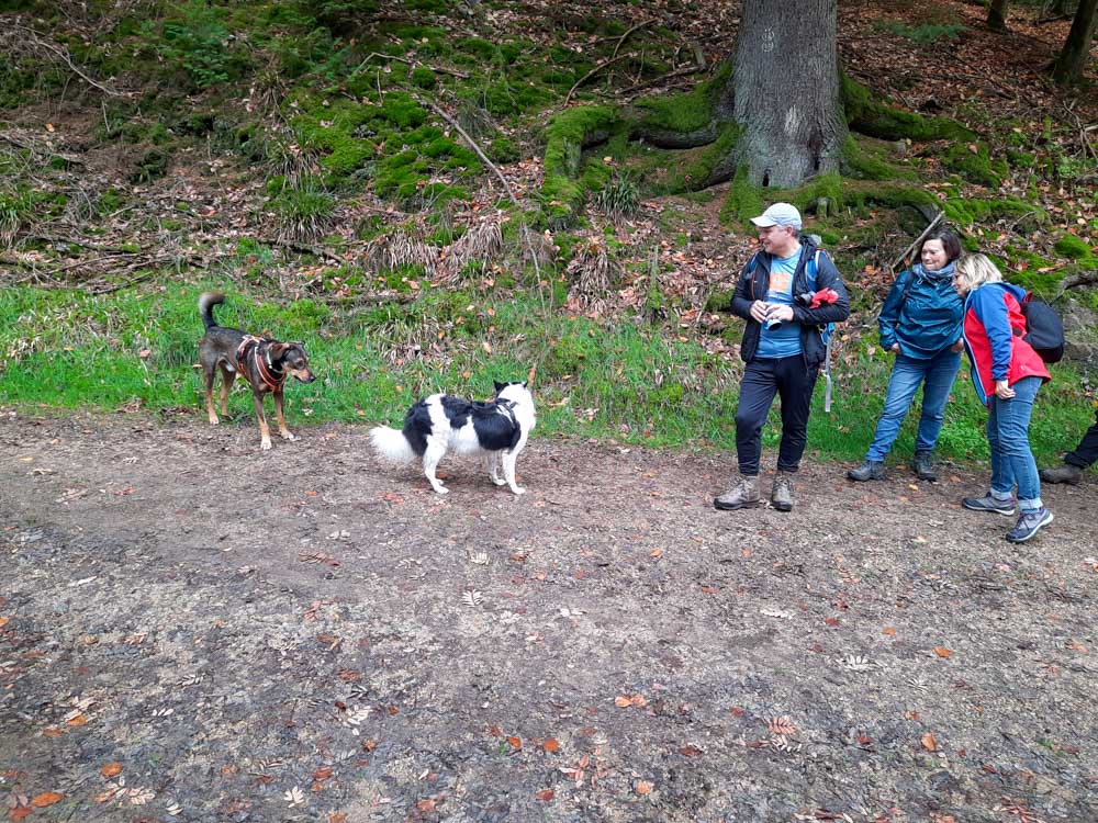 20221101 NF_Letzte Einkehr_Anke-7.jpg