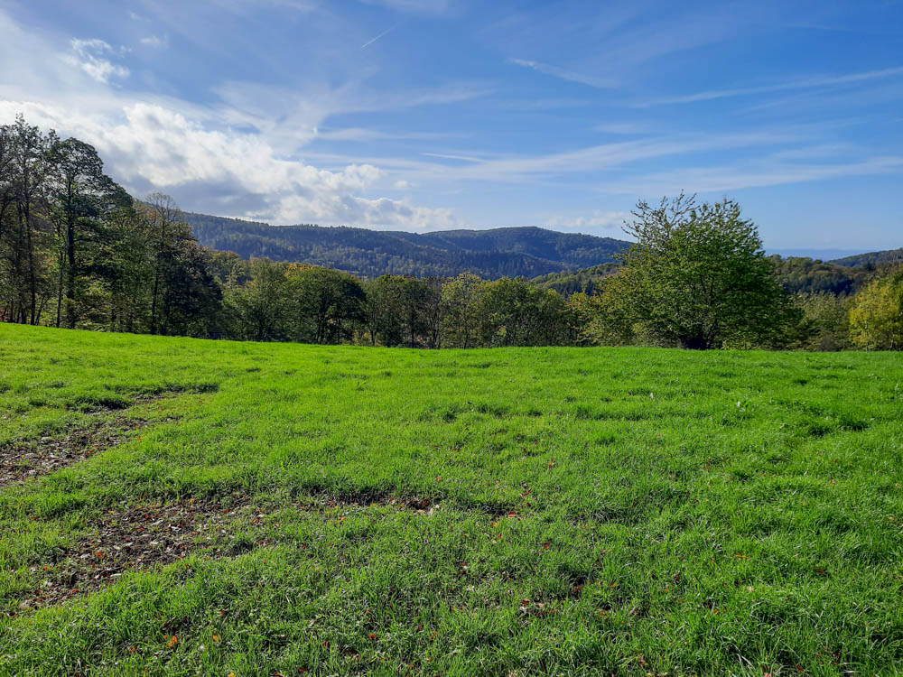 20221101 NF_Letzte Einkehr_Anke-32.jpg