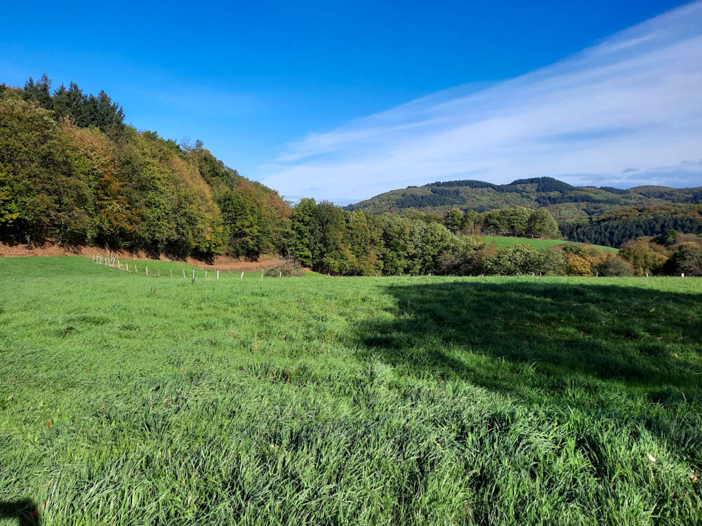 20221101 NF_Letzte Einkehr_Anke-35.jpg