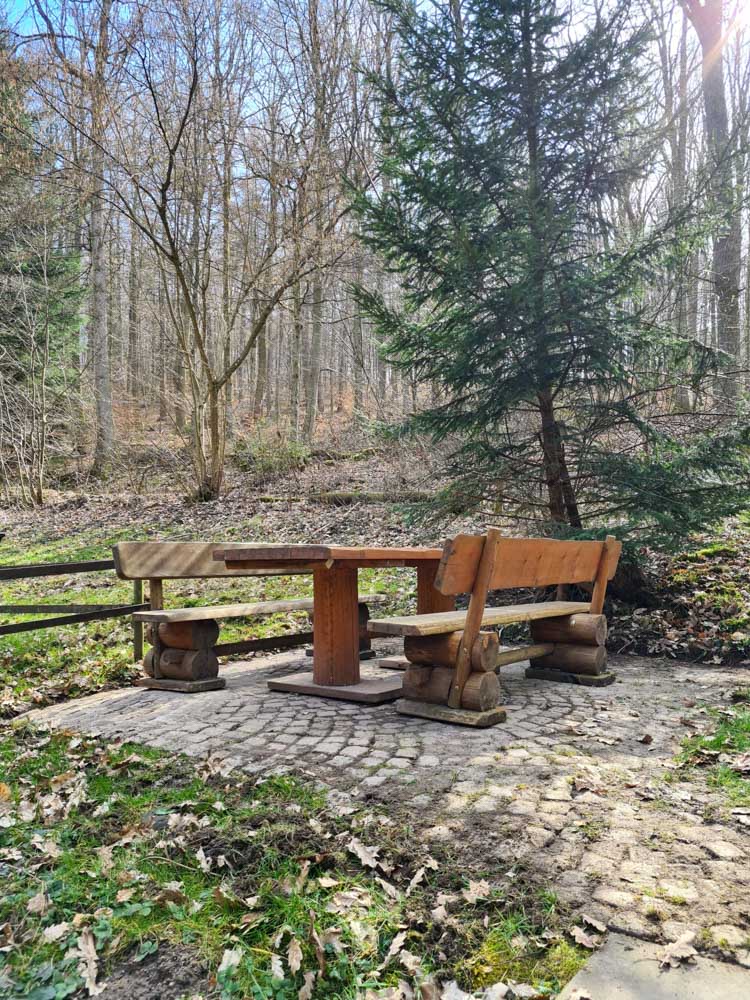 20230318 NF_Arbeitseinsatz_Karl-19.jpg