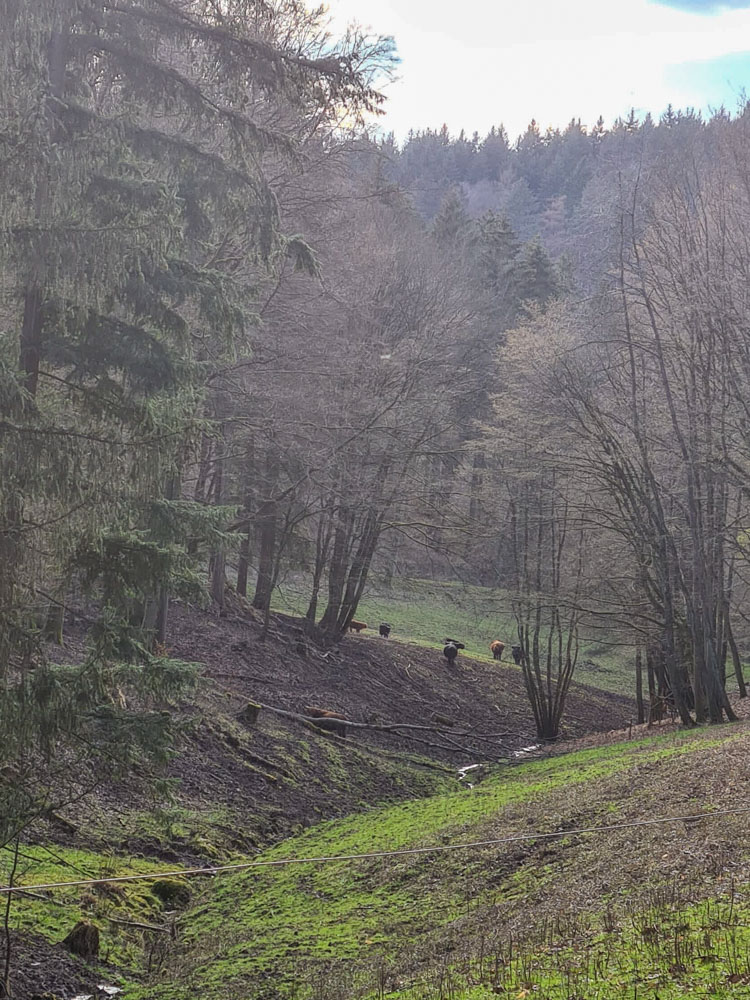 20230318 NF_Arbeitseinsatz_Karl-63.jpg