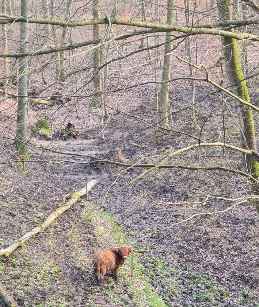 20230318 NF_Arbeitseinsatz_Karl-64.jpg