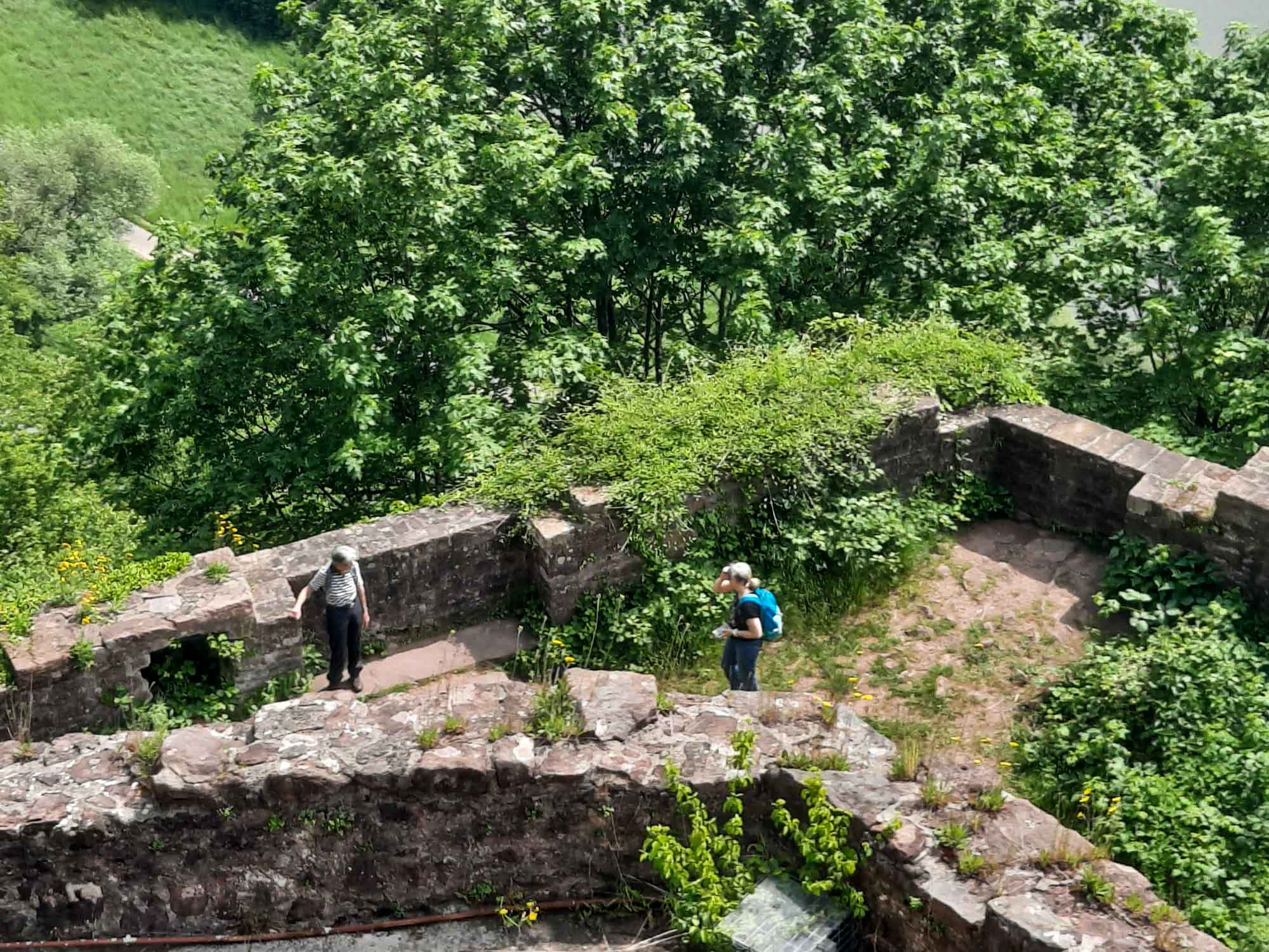 20230521 NF_Burgenwanderung_Sabine-2.jpg