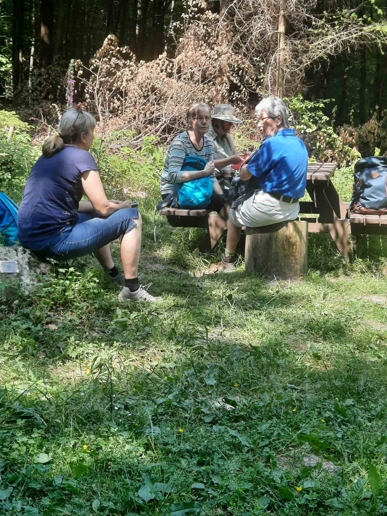20230618 NF_Wanderung ins Blaue_Anke-3.jpg