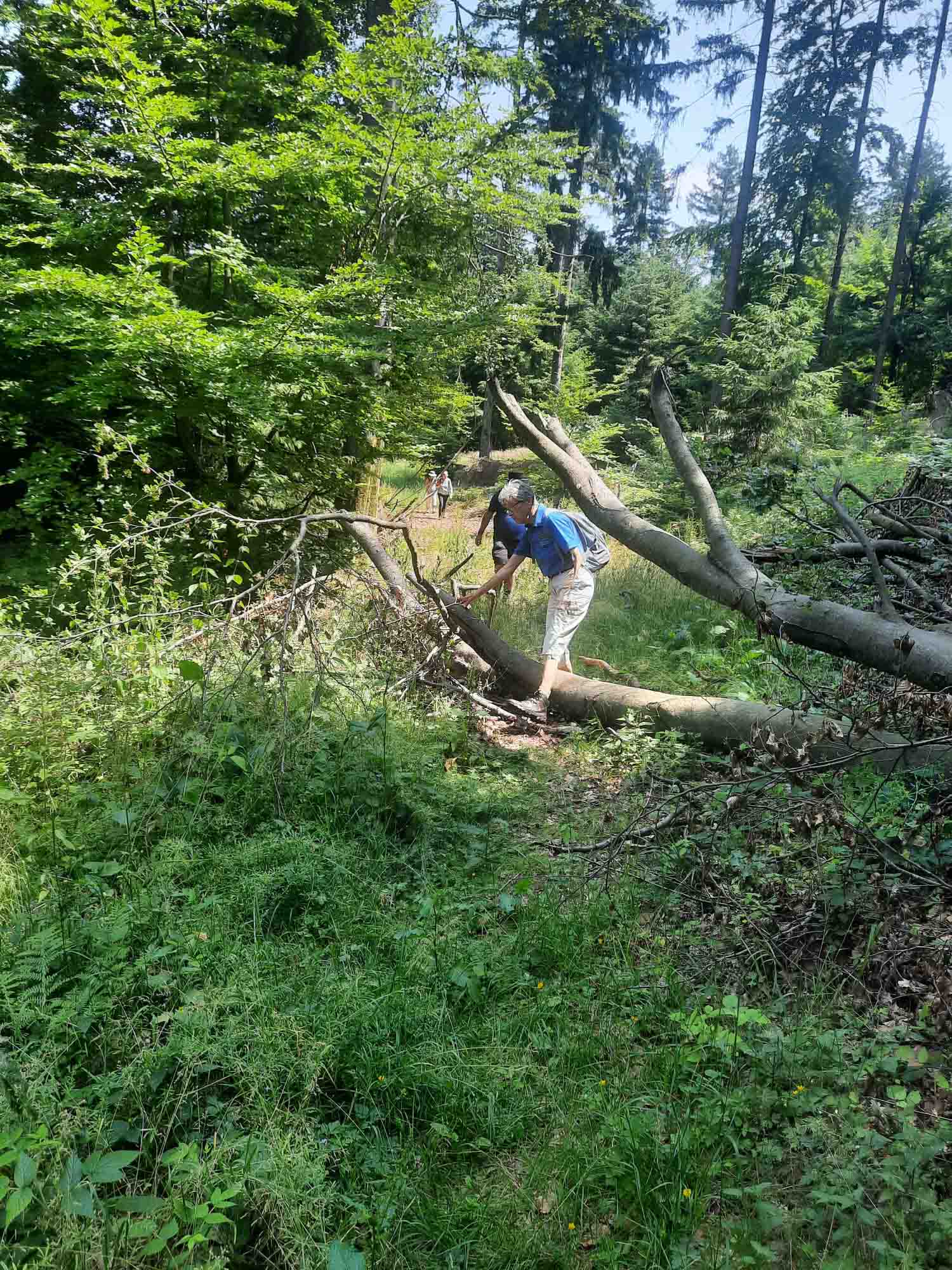 20230618 NF_Wanderung ins Blaue_Anke-4.jpg