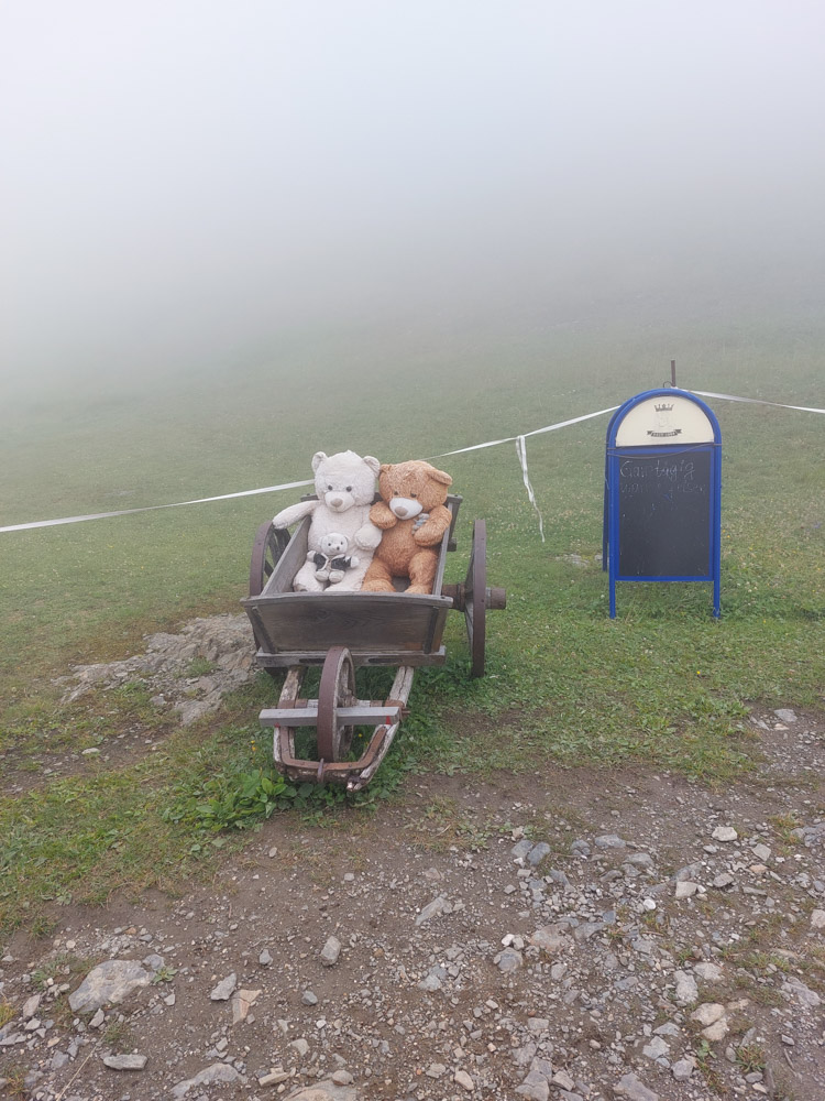 20230803 NF_Stubai_Anke-19.jpg