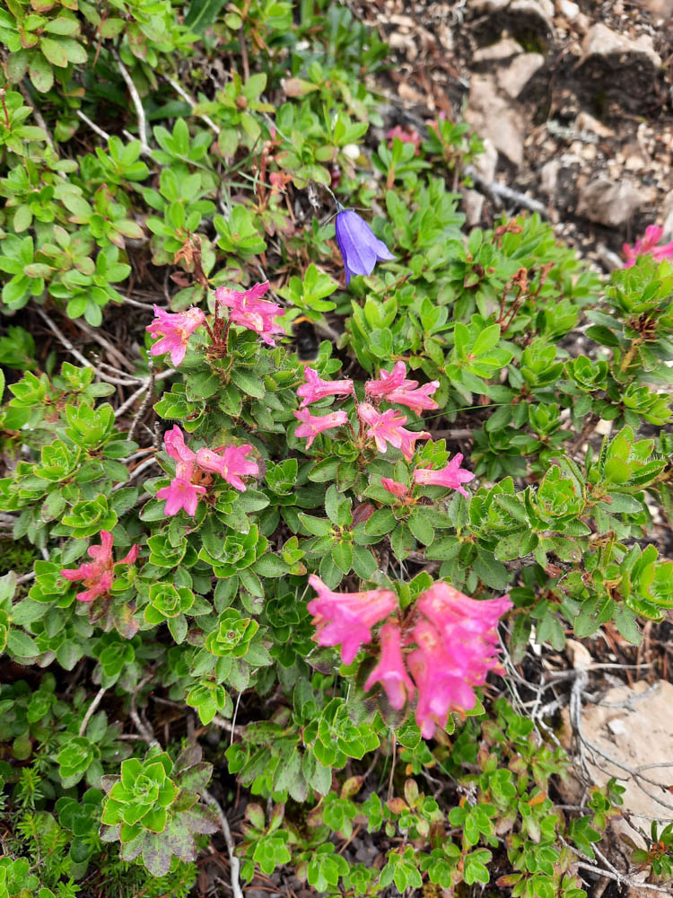 20230803 NF_Stubai_Anke-22.jpg