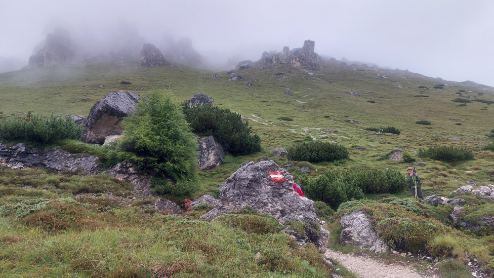 20230803 NF_Stubai_Anke-34.jpg