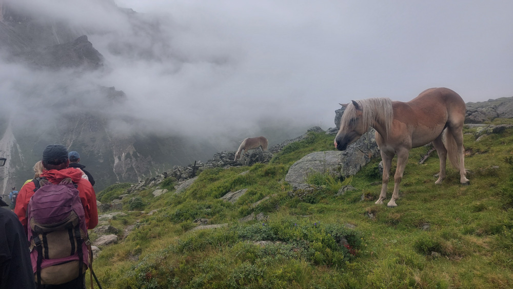20230803 NF_Stubai_Anke-50.jpg
