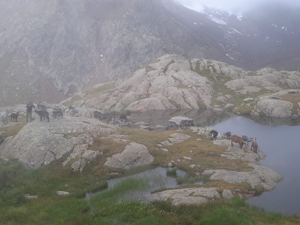 20230803 NF_Stubai_Anke-125.jpg