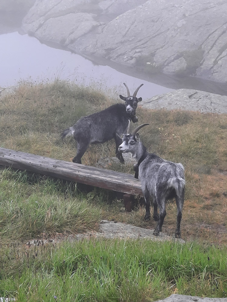 20230803 NF_Stubai_Anke-128.jpg