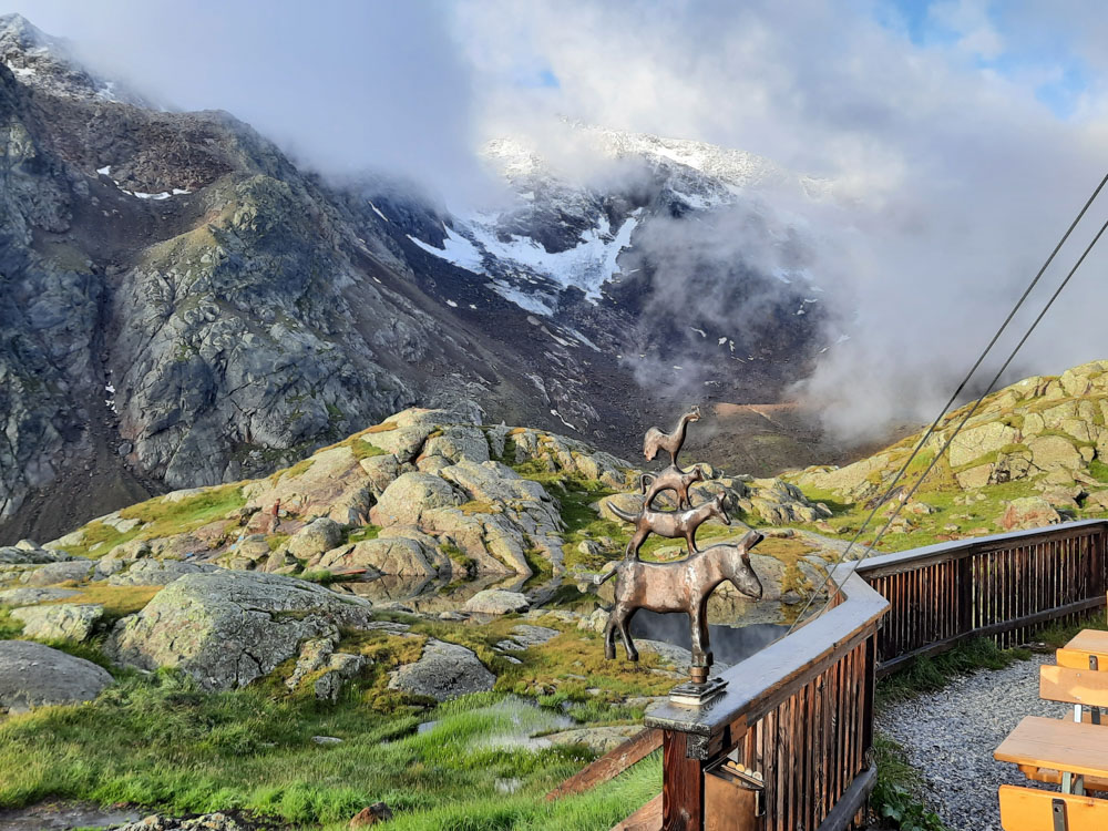 20230803 NF_Stubai_Anke-132.jpg