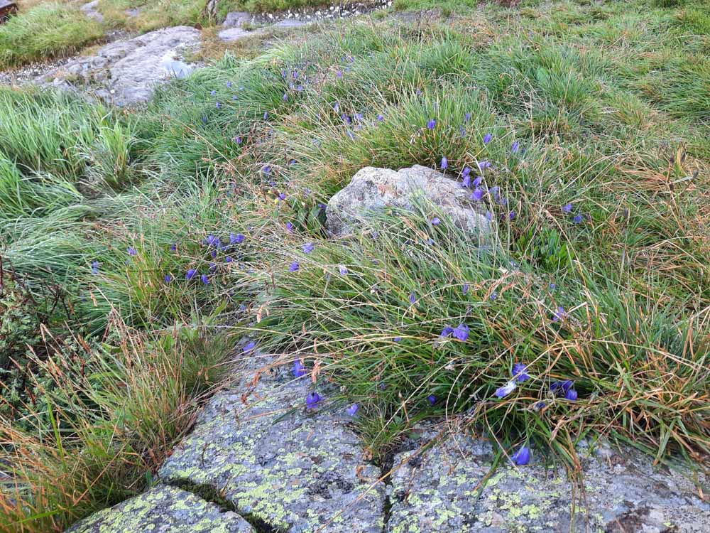 20230803 NF_Stubai_Anke-144.jpg