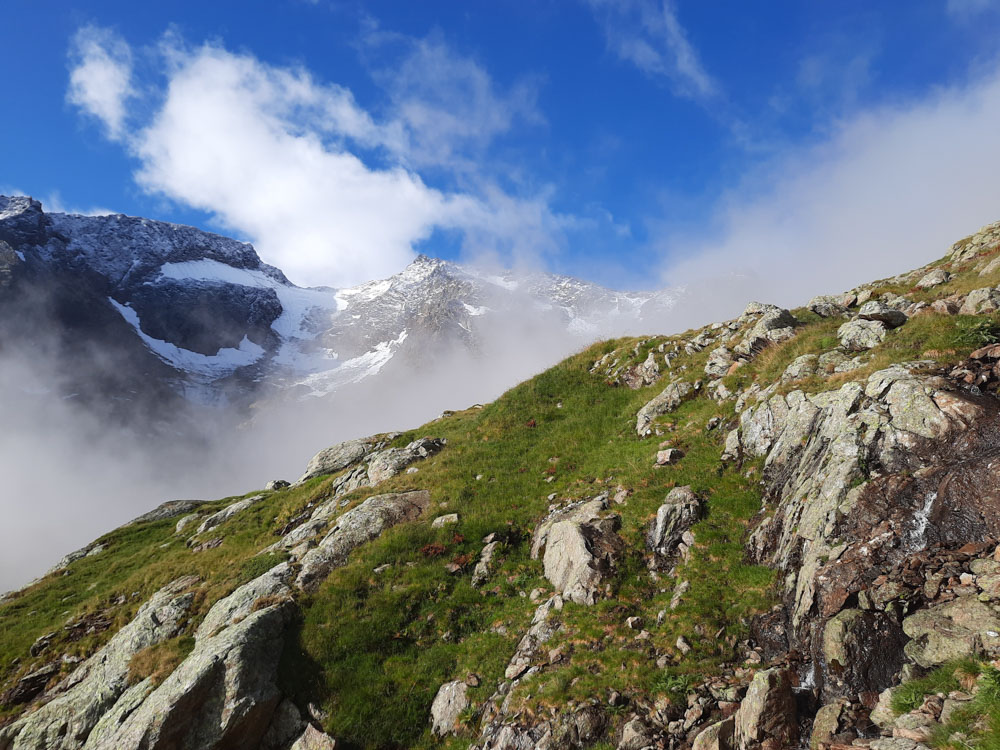 20230803 NF_Stubai_Anke-160.jpg