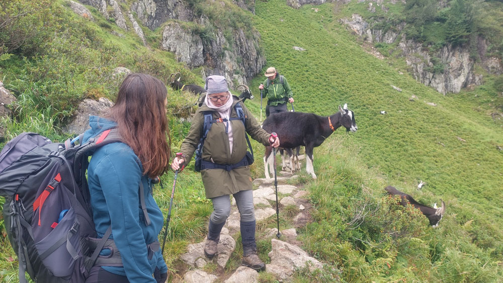 20230803 NF_Stubai_Anke-296.jpg