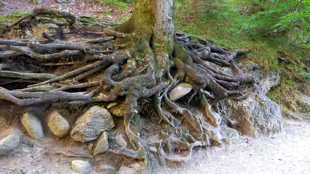 20230907 NF_Wildschönau_Christl-19.jpg