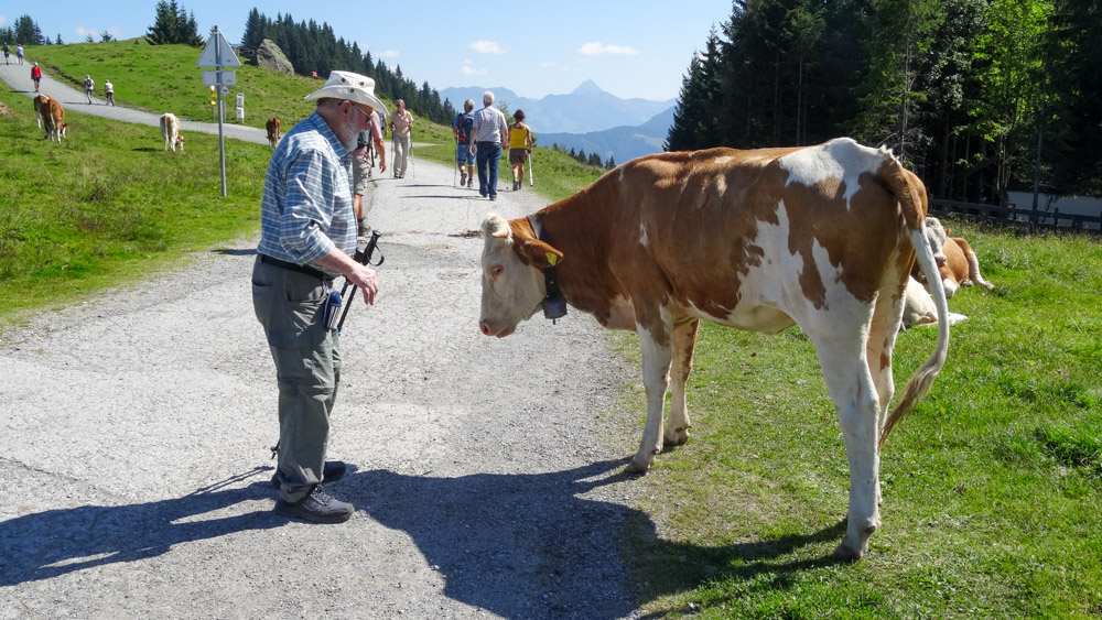 20230907 NF_Wildschönau_Heinz-31.jpg