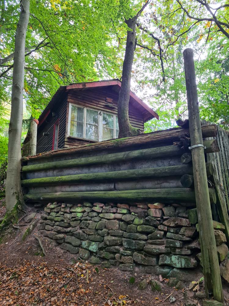 20231015 NF_Herbstwanderung_Sabine-4.jpg