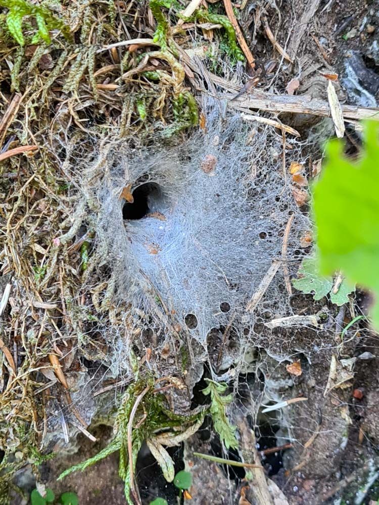 20231015 NF_Herbstwanderung_Sabine-6.jpg