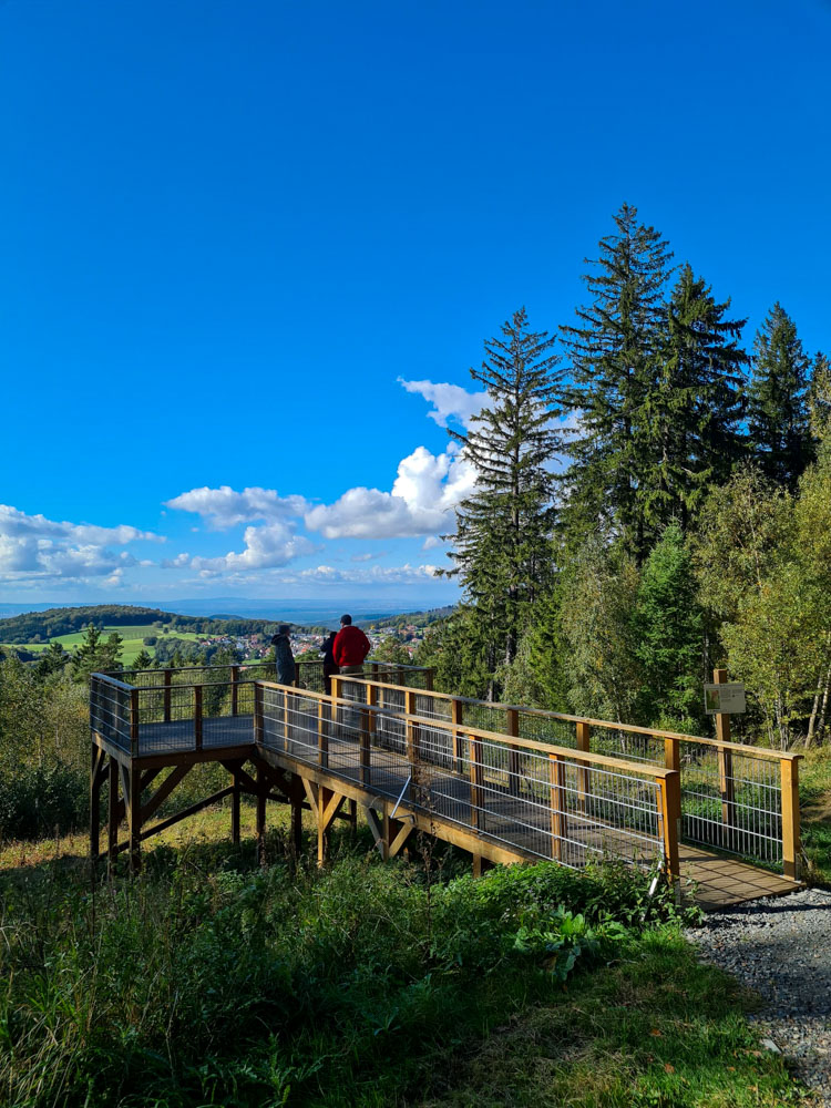 20231015 NF_Herbstwanderung_Sabine-13.jpg