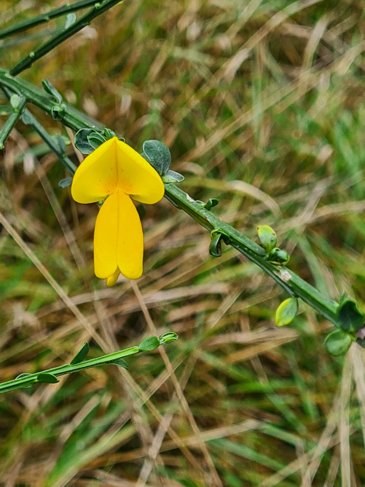 20231015 NF_Herbstwanderung_Sabine-14.jpg