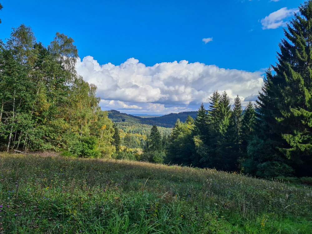 20231015 NF_Herbstwanderung_Sabine-19.jpg