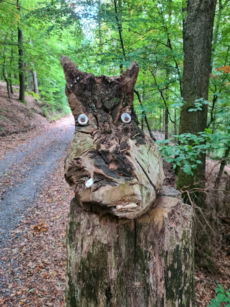 20231015 NF_Herbstwanderung_Sabine-31.jpg