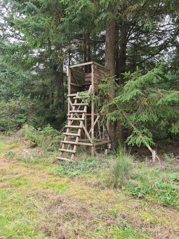 20231015 NF_Herbstwanderung_Sabine-37.jpg