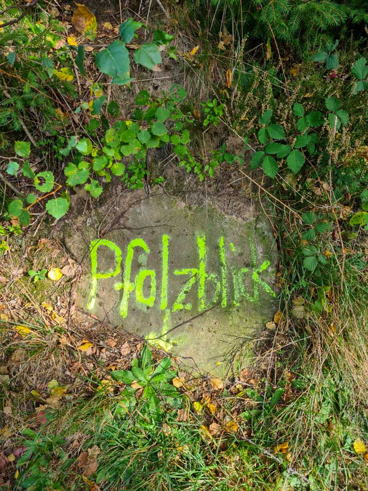 20231015 NF_Herbstwanderung_Sabine-38.jpg