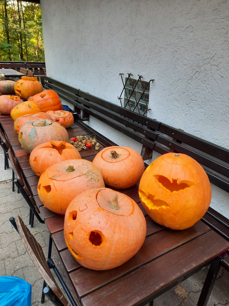 20231021 NF_Kürbisschnitzen_Anke-15.jpg