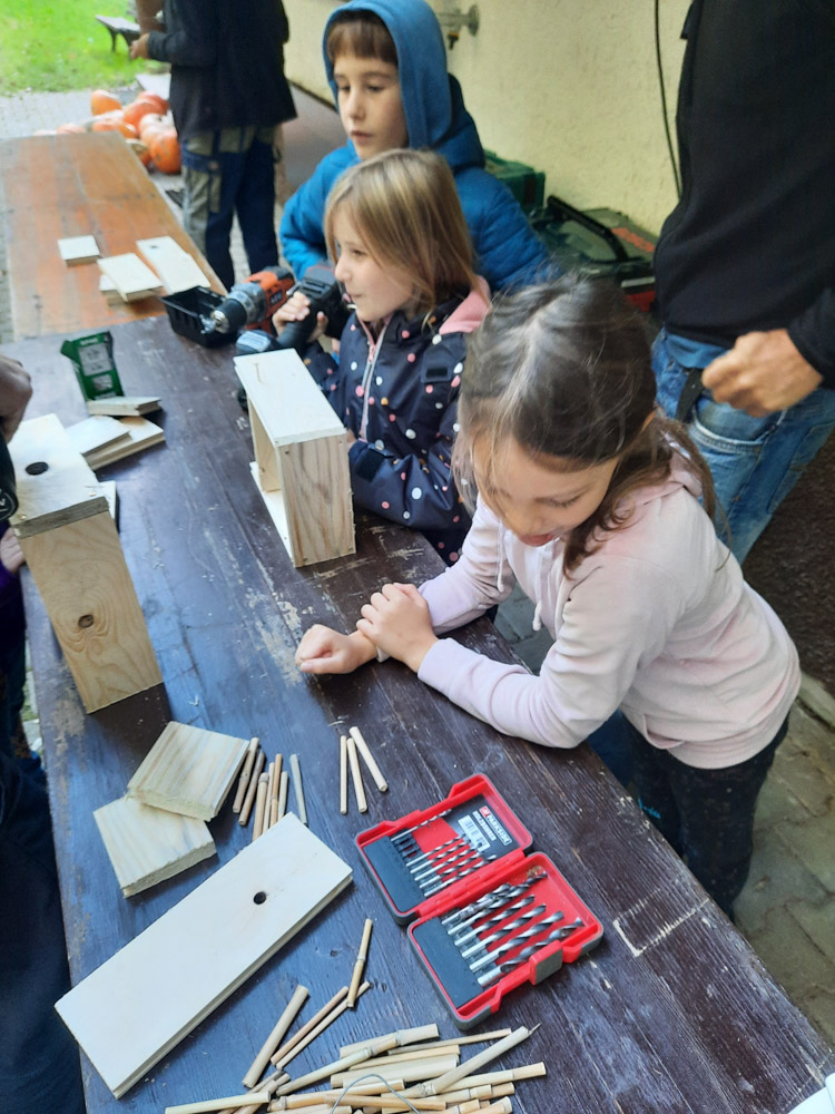 20231021 NF_Kürbisschnitzen_Anke-21.jpg